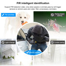 BM0049_4.jpg@fb4250c0a351dbeb7ee4920163238ee5