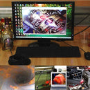 CA00524_10.jpg@74a4bc4c923d28cff4f2f34cfba497be
