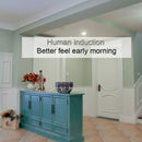 CA3206_5.jpg@c2ff59e4a7bd4963f38741069f0043b1