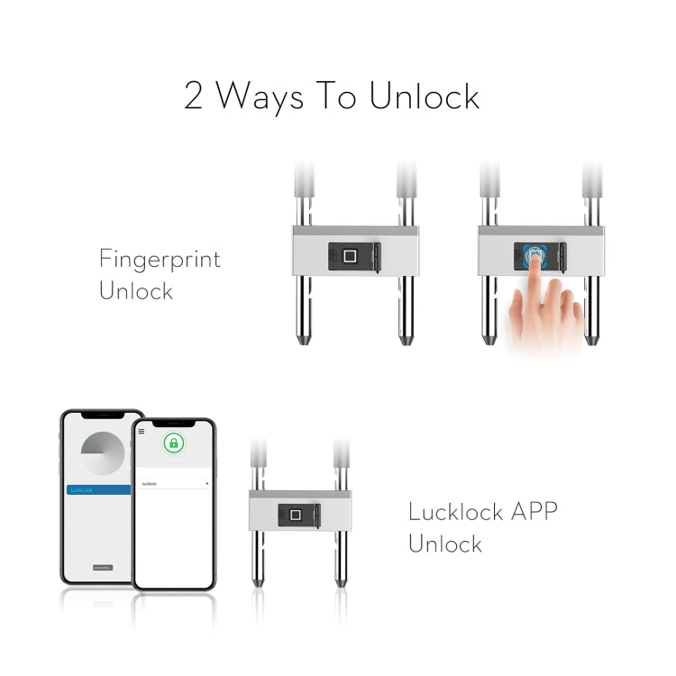 CL2344_5.jpg@23ec095c66be04f5c1a78119a600e9ec