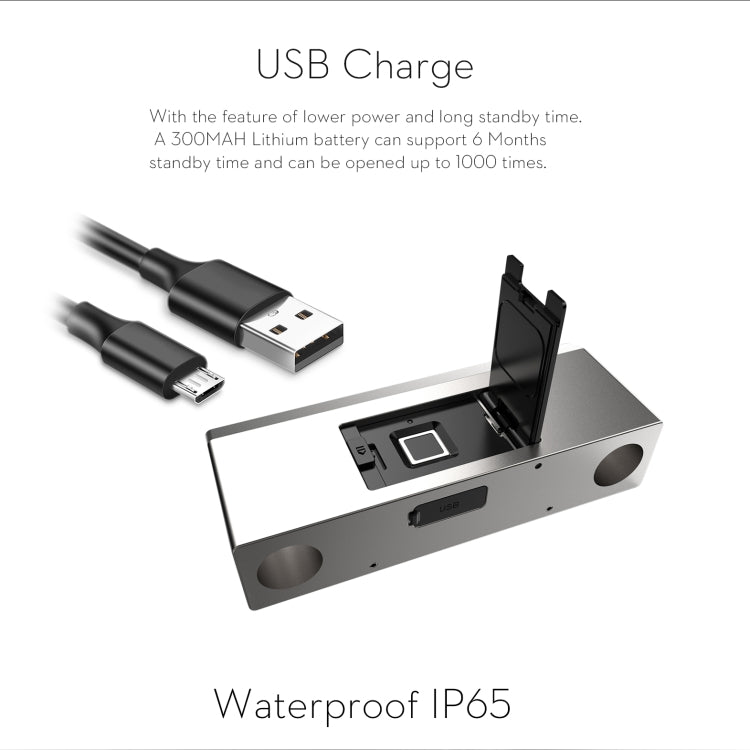 CL2344_6.jpg@485d95ccc2cfbe169f44eb8c30b25b6a