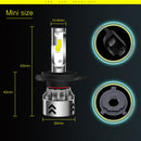 CMS0167_4.jpg@ca7b8a9fdc04130426536c160c4181ca