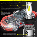 CMS0167_6.jpg@5c5b2879742398c825d43889ff4a4452