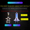 CMS0370_12.jpg@f2441a629fb146dea570fd1b05f44938