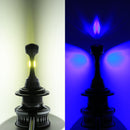 CMS0370_13.jpg@232a60980d05d2a330bcab596a5f5221