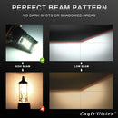 CMS0448_4.jpg@2bf89ce99e43b4e11bc14ac965c3b0bd