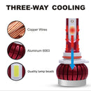 CMS0505A_6.jpg@8d0499a3e4e6facec3e50bc1535f2221