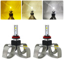 CMS0879.jpg@79de7f2daee6be33ce3f3aa81ff139fb