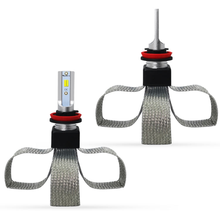 CMS0879_1.jpg@454b9a4eb6f19931299e1bba0b0e5bb2