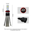 CMS0879_2.jpg@284e689f55e1ba4a587a58108ec3d7bd