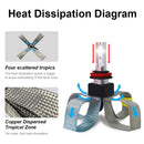 CMS0879_4.jpg@66d341316c2f785396f4b06a035f687c