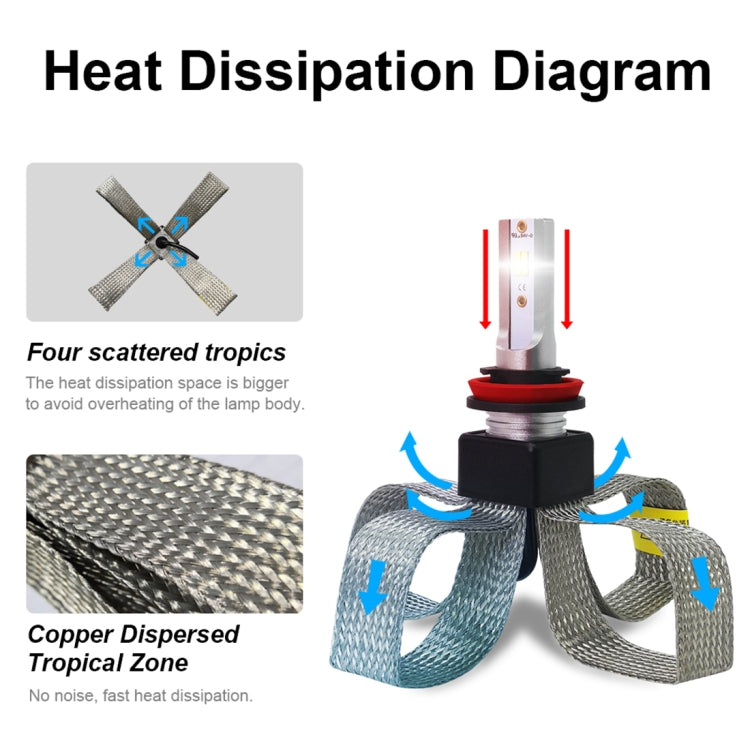 CMS0879_4.jpg@66d341316c2f785396f4b06a035f687c