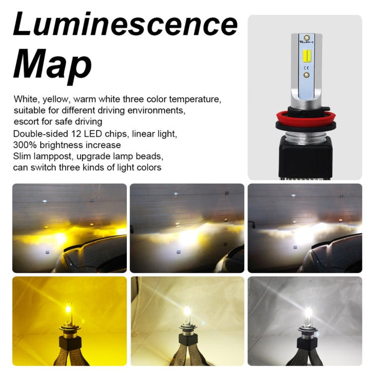 CMS0879_7.jpg@87cffdd0991ff577fb31b55cac229bd1