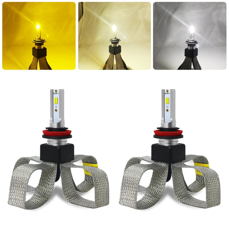 CMS0879.jpg@79de7f2daee6be33ce3f3aa81ff139fb