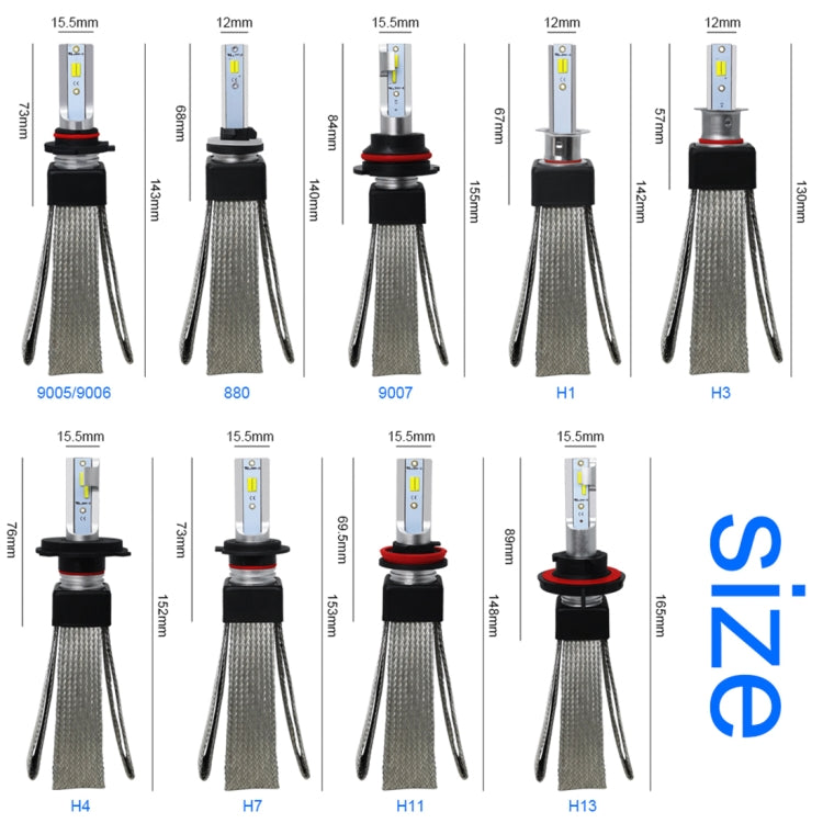 CMS0879_9.jpg@2d5d770ed2938d9ad7b1c7c6440ccc65