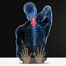 CMS1495E_8.jpg@4f80fe3a8ad500162aaeb3bdc92c4ebc