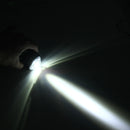 CMS2777_5.jpg@74343c1fdbd6d108896a4abf5e33d8d5