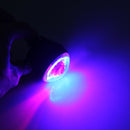 CMS2777_6.jpg@2415913f676c695bda14ab271f54f513