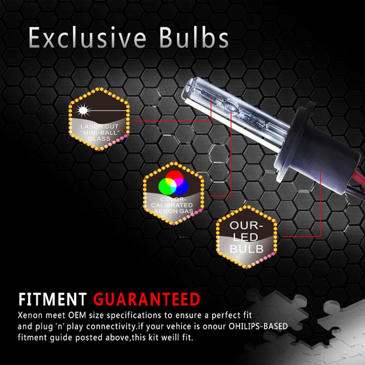 CMS4003_2.jpg@5eb5c98eefcd81872b8a832f0a264a40