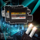 CMS4033_12.jpg@dfb905d5772cbad390476bbecf875b1b