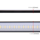 CMS4651_4.jpg@988fa4463cb1c743c4ab5b64af5b08bb