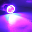 CMS8009_6.jpg@d101ac78ebbf5689d02c991c44ccefb9