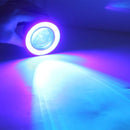 CMS8009_7.jpg@c38ac38d96a5d6ac6c594fd91abe647a