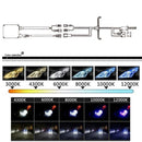 CMS9474_6.jpg@8db9cce0845de44aedfe4b786b2b2324