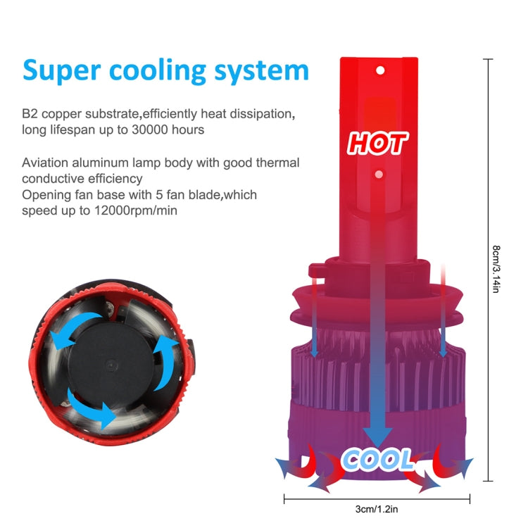 CRP2093_2.jpg@42fee4714f4b8deae19284b1f38ec384