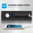 CRP2434_6.jpg@31c80f35c8d48fbd16341803c4294c2b