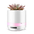 BL-003 USB Car Air Purifier Bluetooth Speaker Potted Purifier(White)