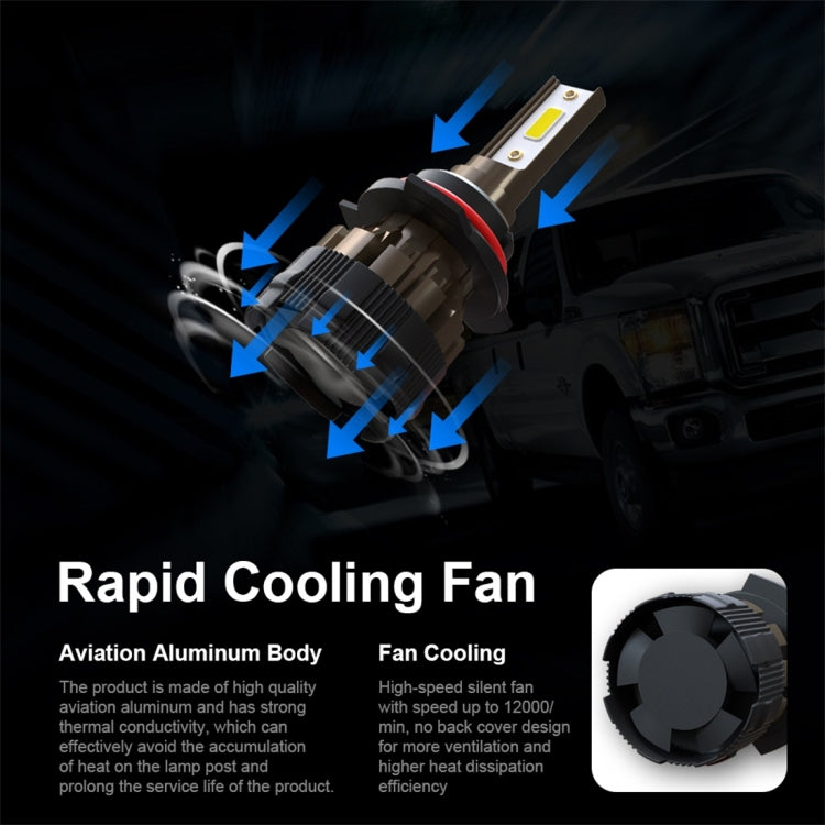 CRP8244_3.jpg@e5304fedd0282490111aacfea68b1e4b