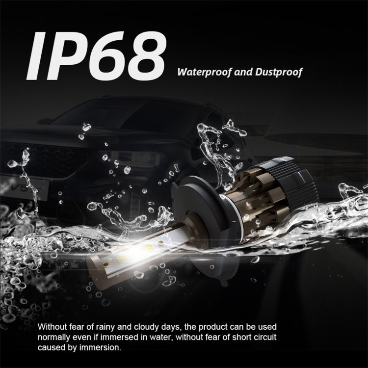 CRP8246_3.jpg@28c8dccf44f619f96a9619080594931c