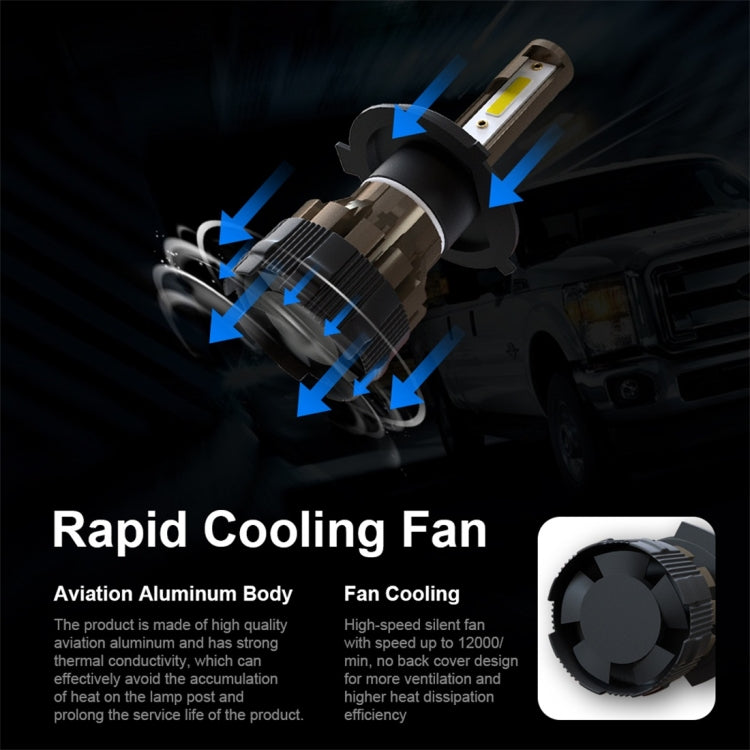 CRP8246_4.jpg@98daaee944ffb2612a2c422aef3c799e