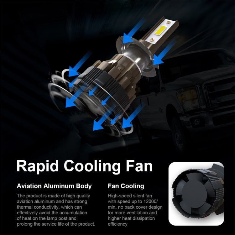 CRP8247_4.jpg@85224ac807cbf82ba65b55ec0bbb6c1d