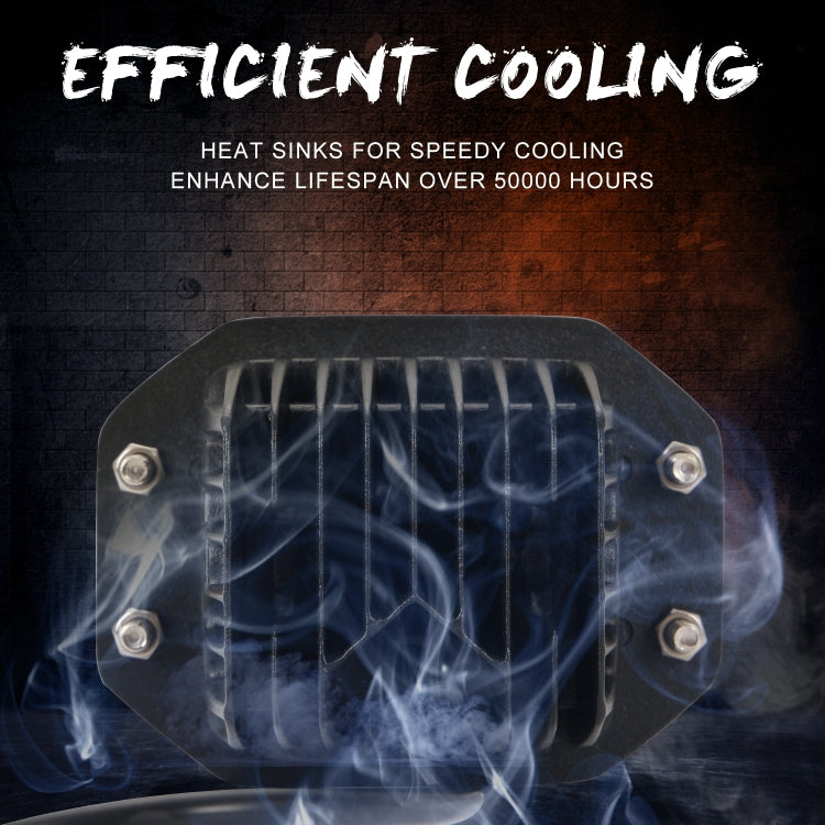 CRP9293_5.jpg@6f2b49676274c406a644295d3e428311