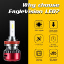 CRP9507_2.jpg@bea7d653e1435bc3fc16b5e2119149c7