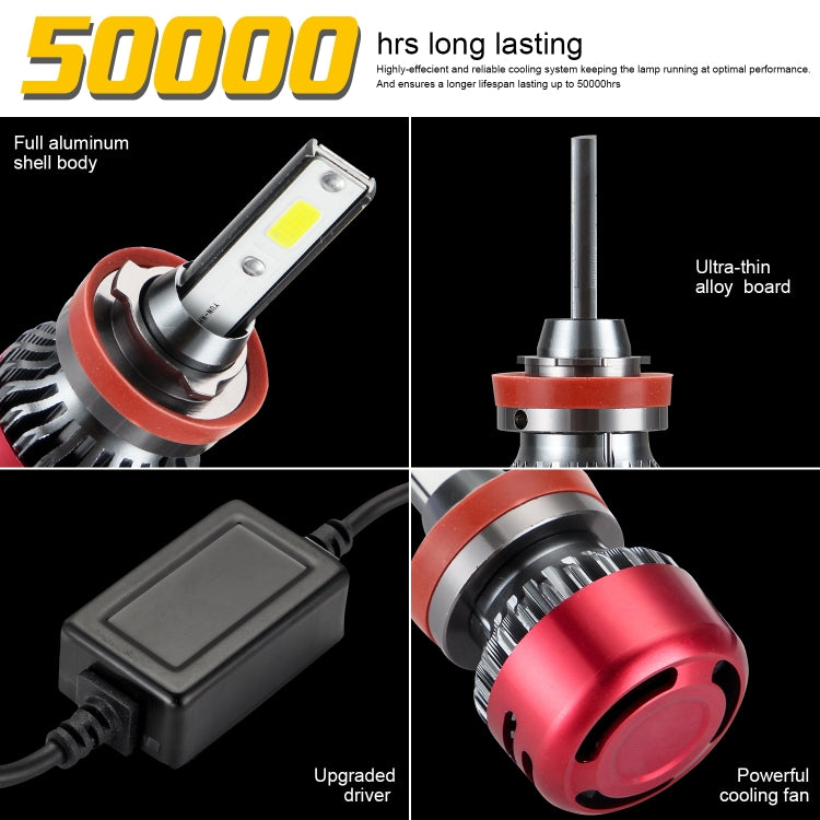 CRP9507_4.jpg@62af28958fdca75c8707802bb43b2300