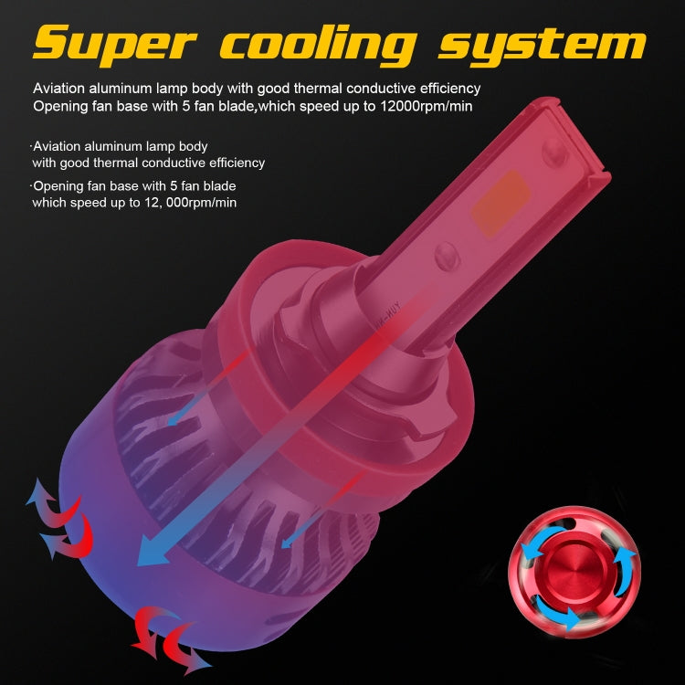 CRP9507_8.jpg@649c0b99d7ef9d1640520dc15776b1b2