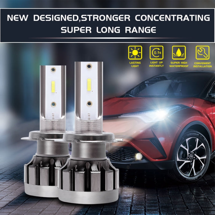 CRP9986_3.jpg@dc5d3285cef4464e0eadb204ba9a0eaf