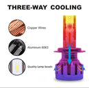 CRP9986_7.jpg@f3ab04a4d88094bc610059d6192185c9