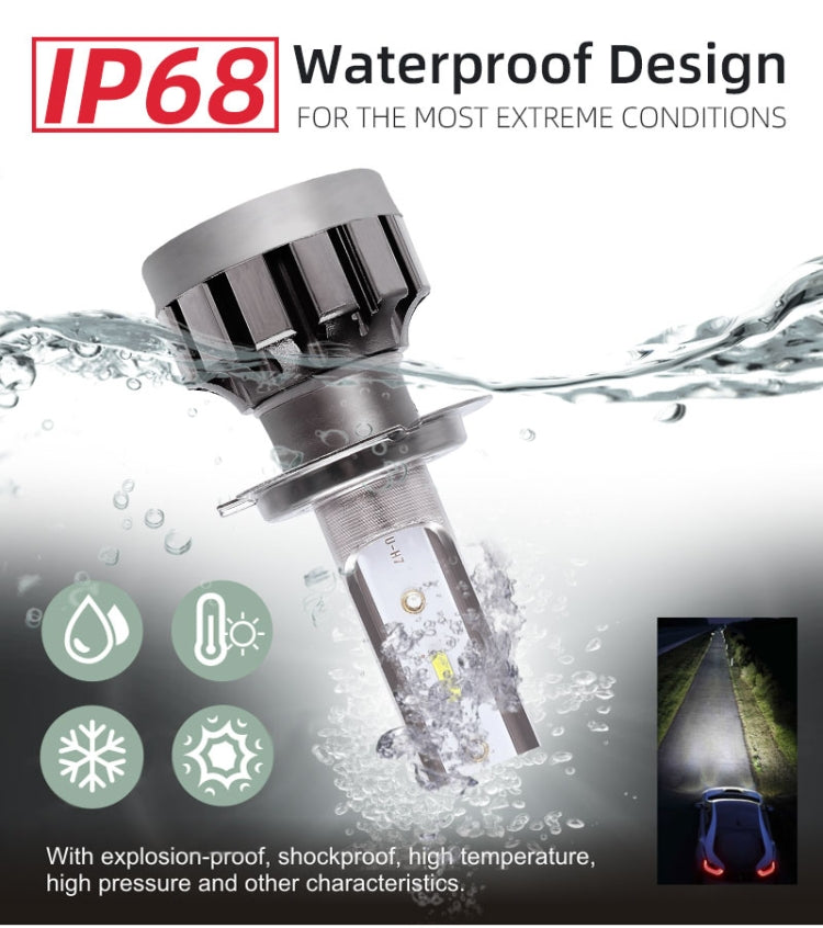 CRP9986_9.jpg@8f2227ed398a6cc187c9cfaf9d1e38bc