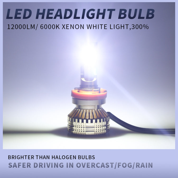 CRP9995WL_3.jpg@443d7f148f387ff325b818ad95991984