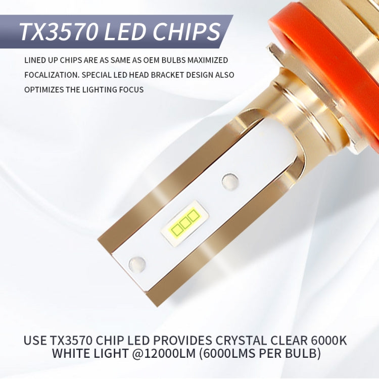 CRP9995WL_4.jpg@14b781e45abace46f711bd1999acf78b