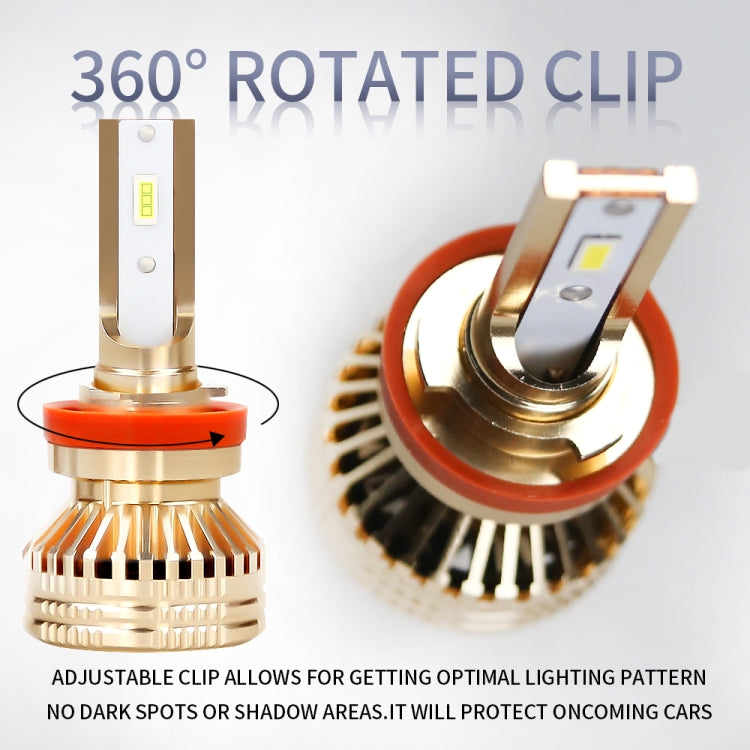 CRP9995WL_5.jpg@2992a6cff1c2904bee94c8103b7d2135