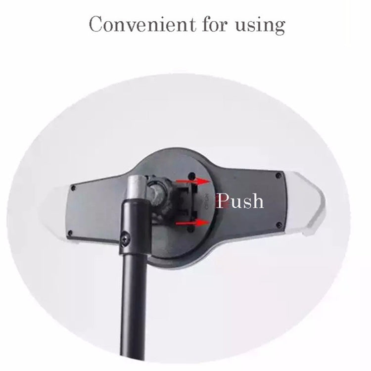 DCA2541_3.jpg@04f3e17bfe55fa4e8400d8a82a19ed37