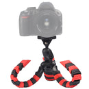 DCA3676.jpg@e3eaa682a29af30a01051e641c9ef361