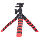 DCA3676_2.jpg@77547c0fbec3901a99ebaa2c93fc141f