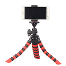 DCA3676_6.jpg@06530fe495ce6f7d69c4dd08f2c8e016