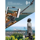 DOP6478_6.jpg@7499278326141915afdf79c9a5ab7f6a